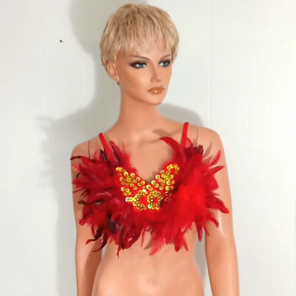 Red feather dance top